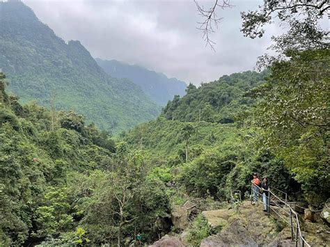 Phong Nha Botanic Garden And Thien Duong Paradise Cave Tour