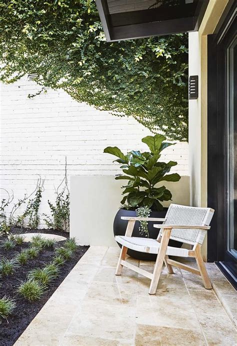 An Inner City Courtyard Garden In Paddington Courtyard Garden Front