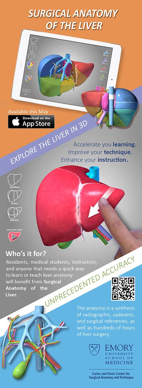 Surgical Anatomy Of The Liver App On Behance