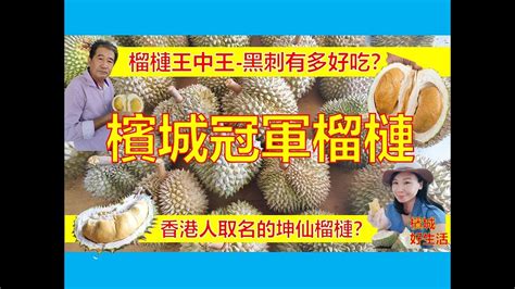 Penang Black Thorn Durian