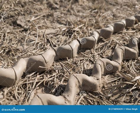 Mud Castings of Tractor Tires Lying on Agricultural Field. Stock Image ...