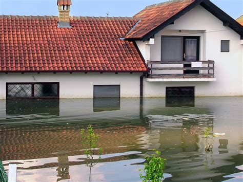 Mold Remediation After a Flood | What You Need to Know