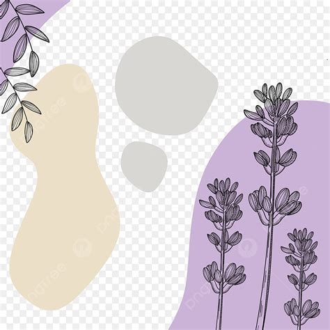 Minimalist Aesthetic PNG Picture Aesthetic Minimalist Line Art Flowers