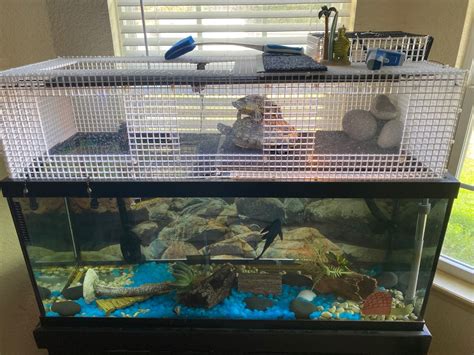 Aquatic Turtle Custom Basking Dock Tank Setup Turtle Tank Turtle