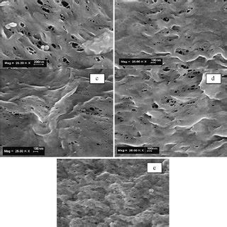 Fesem Micrographs Of The Plain Pvdf Hollow Fiber Membrane A Inner