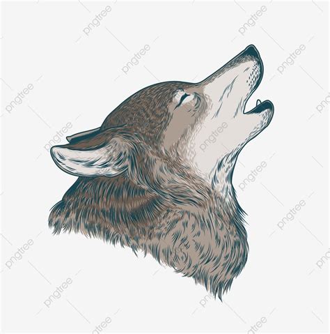 Grabado Grabado Para Camisetas Lobo Aullando PNG Ilustración