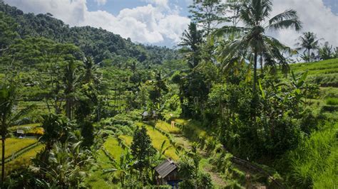 Altiplano Voyage Nuit Dans Un H Tel Engag Pour L Environnement Bali