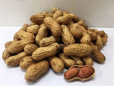 Roasted Groundnut At 130 Kg Roasted Peanut In Ahmedabad ID