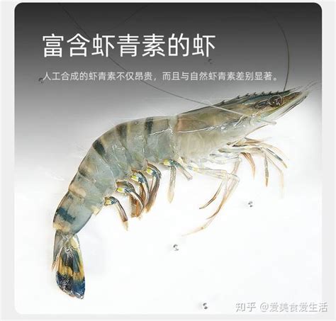 一只吃一顿一顿吃一只虾王黑虎虾 知乎