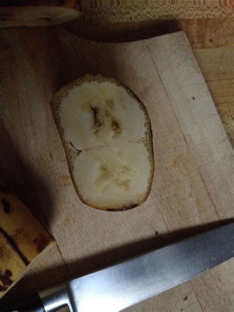 Found two bananas in one peel. : r/mildlyinteresting