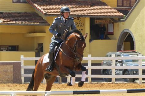 Regimento De Julho Forma Novos Oficiais Cavalarianos Tecnodefesa