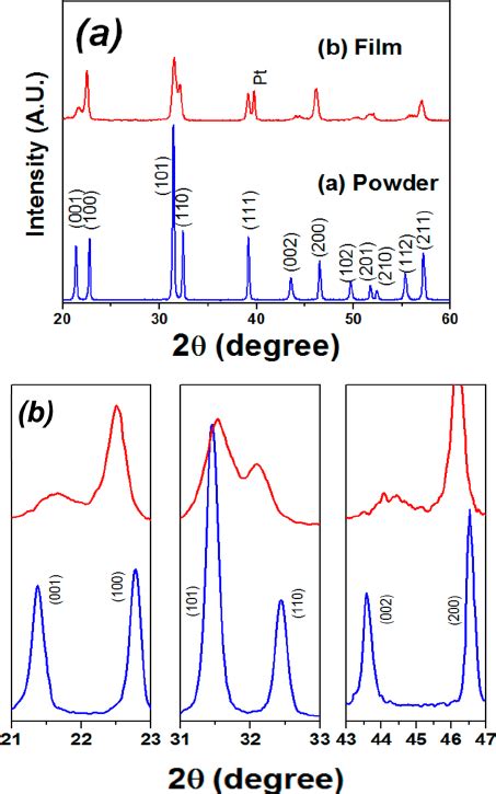 A XRD Patterns Of PbTiO 3 Powder And The AD Fi Lm Annealed At 700 C