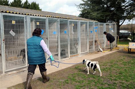 Loir Et Cher Le Refuge De Sassay Ferm Au Public Suite Une Pid Mie