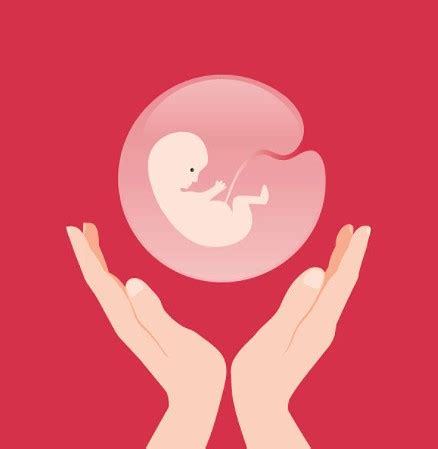 El Test De Cribado Prenatal No Invasivo Ambar Lab