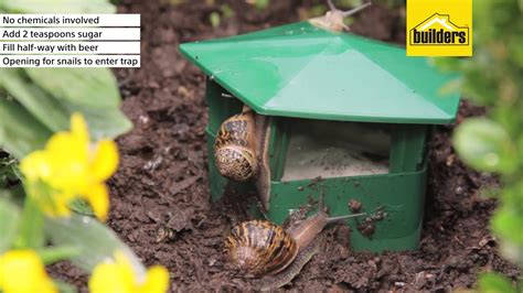 Eco Snail And Slug Trap For Gardens Youtube