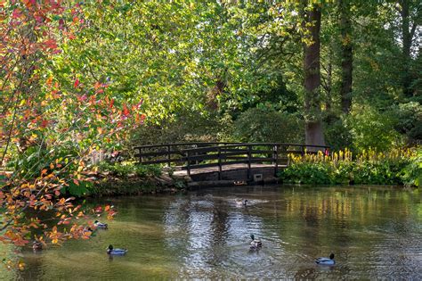 Autumn colours and sculptures in the Savill Garden on Behance