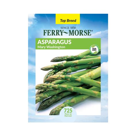 Asparagus Seeds