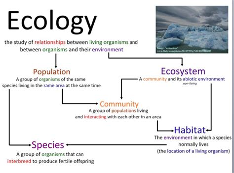 41 Species Communities And Ecosystems