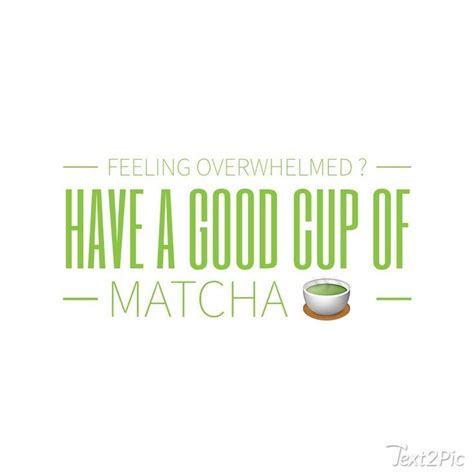 27 Best Matcha Quotes images | Matcha quotes, Matcha, Quotes | Matcha ...