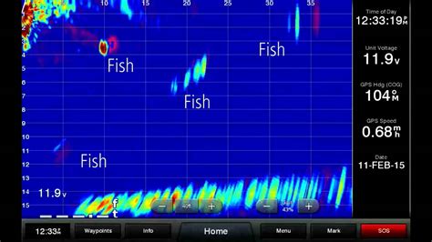 Garmin Panoptix All Seeing Sonar See What You Ve Never Seen Youtube