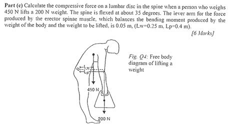 Solved Part C Calculate The Compressive Force On A Lumbar Chegg