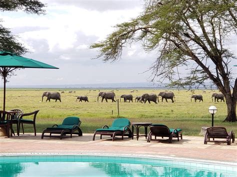 Ol Tukai Lodge | Amboseli National Park | Kenya wildlife Tours