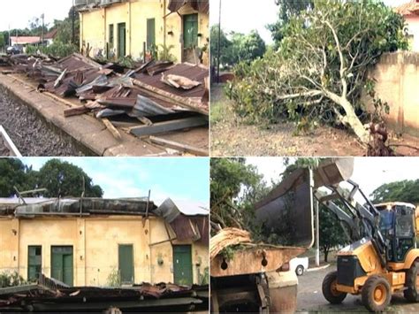 G1 Chuva Forte Derruba árvores E Causa Estragos Em Distrito De Matão