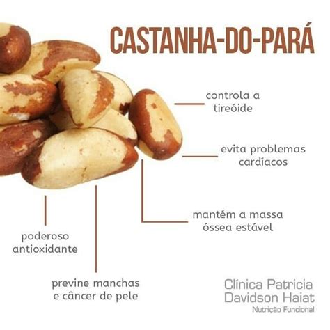 Castanha Do Par C Casca Abc Em Casa