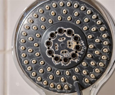 7 Signs Your Well Water Could Be Contaminated | Aquasana