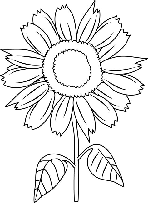 Free Black Sunflower Cliparts, Download Free Black Sunflower Cliparts ...