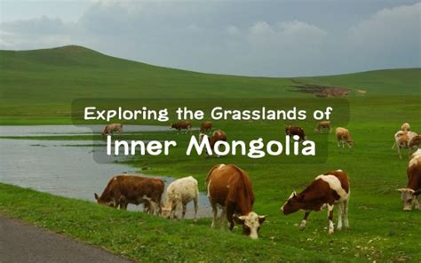 Exploring the Grasslands of Inner Mongolia