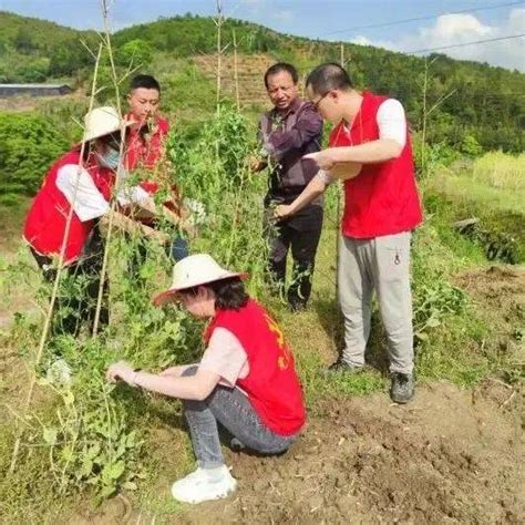 【青年干部“四下基层”实践锻炼】青年干部下基层 乡村再添新动力钱厝村民青干