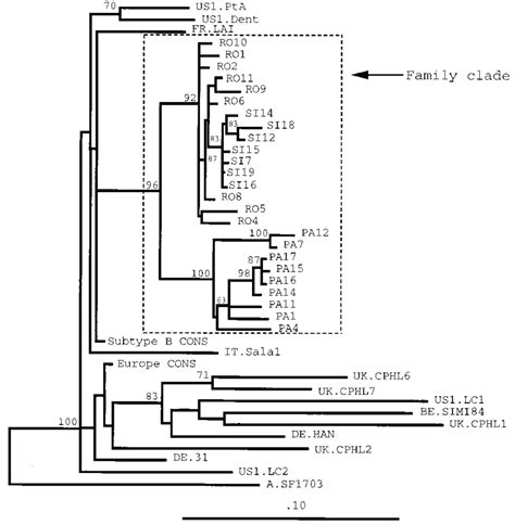 Phylogenetic Tree Analysis Obtained By Using The Fitch And Margoliash