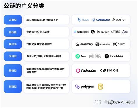 公链迭代方向具备哪些特征五条下一轮牛市中有望崛起的公链 知乎