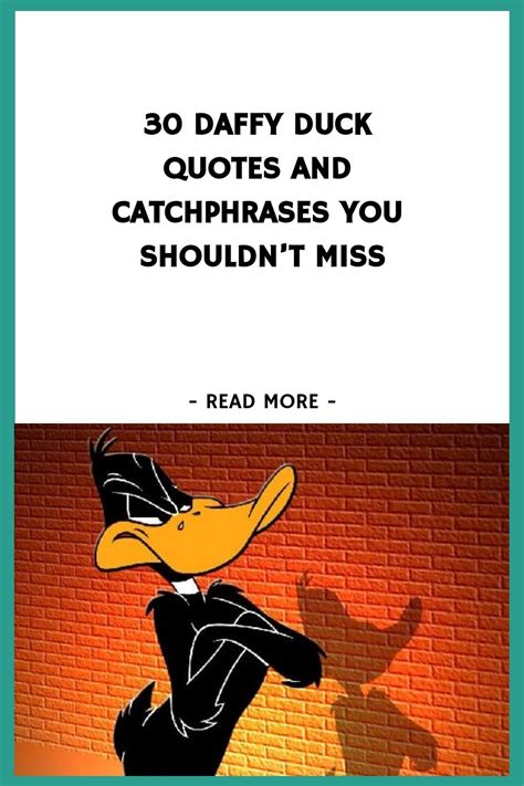 Daffy Duck Quotes And Catchphrases You Shouldnt Miss Https