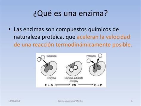 Qué Es Una Enzima Y Su Función Resumen VÍdeo