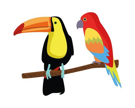 wild tropical parrot and toucan birds nature icon 1999323 Vector Art at ...