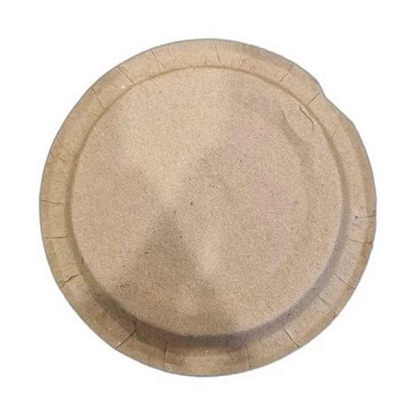 Inch Mica Paper Plate At Rs Piece Mica Paper Plate In Kanpur