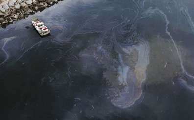 California oil spill News - Latest California oil spill News, Breaking ...