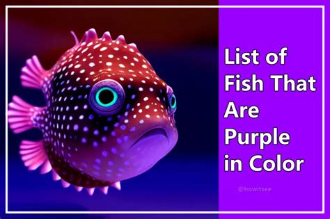 20 Most Beautiful Purple Fish For Your Aquarium (With Price)