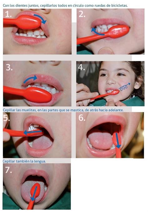 TÉcnicas De Buen Cepillado Bucal En NiÑos Menores De 10 AÑos 2015