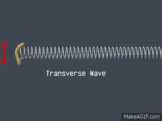 Transverse Wave on Make a GIF