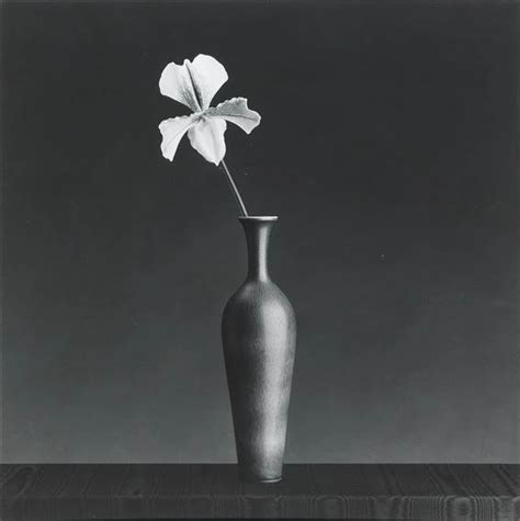 Artwork By Robert Mapplethorpe Orchid” Made Of Gelatin Silver Print