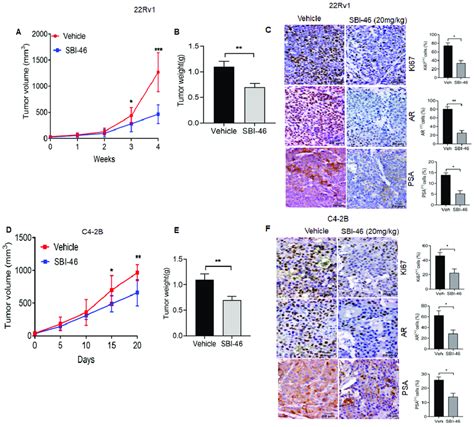 SBI 46 Potently Suppresses PCa Xenografts Tumor Growth In Nude Mice