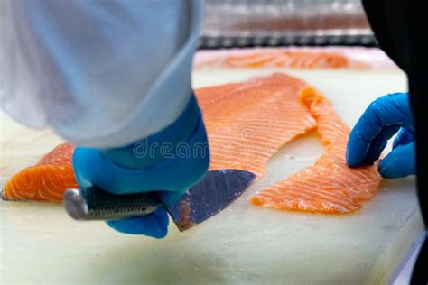 Chef Slicing Raw Fresh Salmon Chef Preparing A Fresh Salmon On A