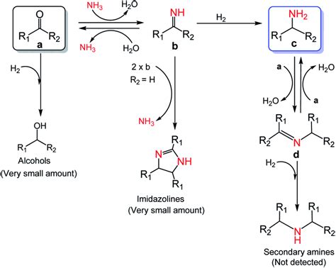 Proposed mechanism for the reductive amination of carbonyl compounds to ...