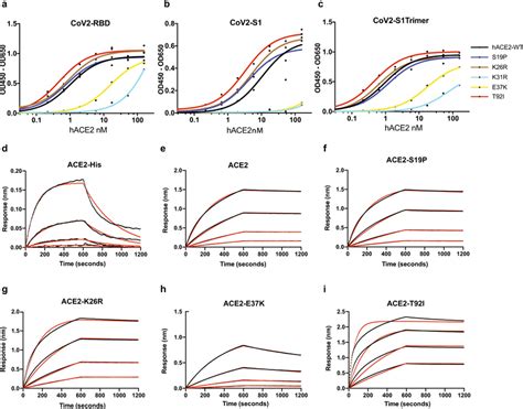 Binding Affinity Of Sars Cov S Rbd S And S Trimer Ac Elisa Assay