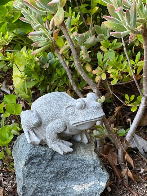 Garden Frog Concrete Garden Statue Toad Figure Cement Outdoor Frog