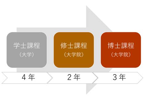 【大学院は何年？】大学院の仕組みを解説！【修士博士】 ほぐ＆らむの研究所