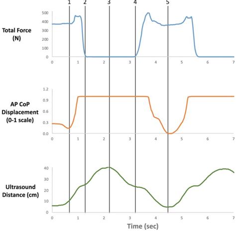 Phases of the Sit-to-Stand movement. | Download Scientific Diagram